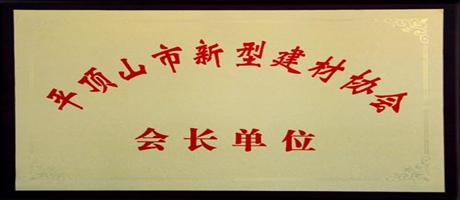 万象城,万象城（中国）公司被授予“平顶山市新型建材协会会长单位”