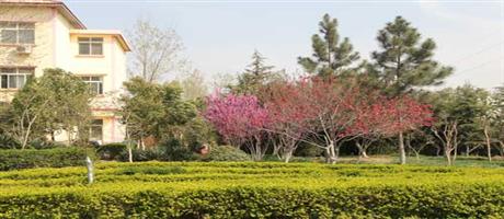万象城,万象城（中国）春景（四）